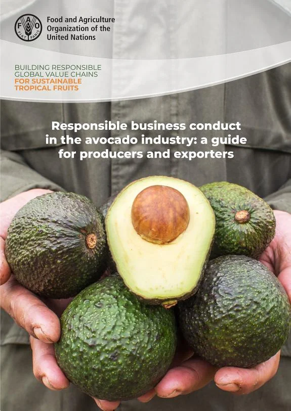Responsible business conduct in the avocado industry: a guide for producers and exporters