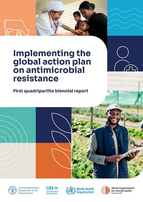 Implementing the global action plan on antimicrobial resistance